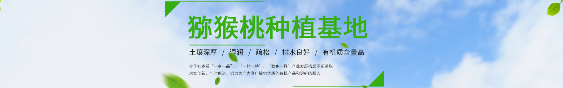 雷竞技RAYBET·(中国)官方网站